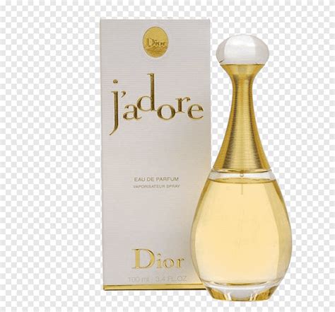 j adore chanel perfume|chanel cologne.